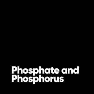 Phosphate and Phosphorus